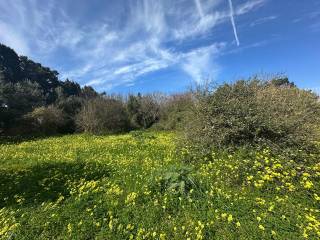 Terreno agricolo in vendita a milazzo via guido