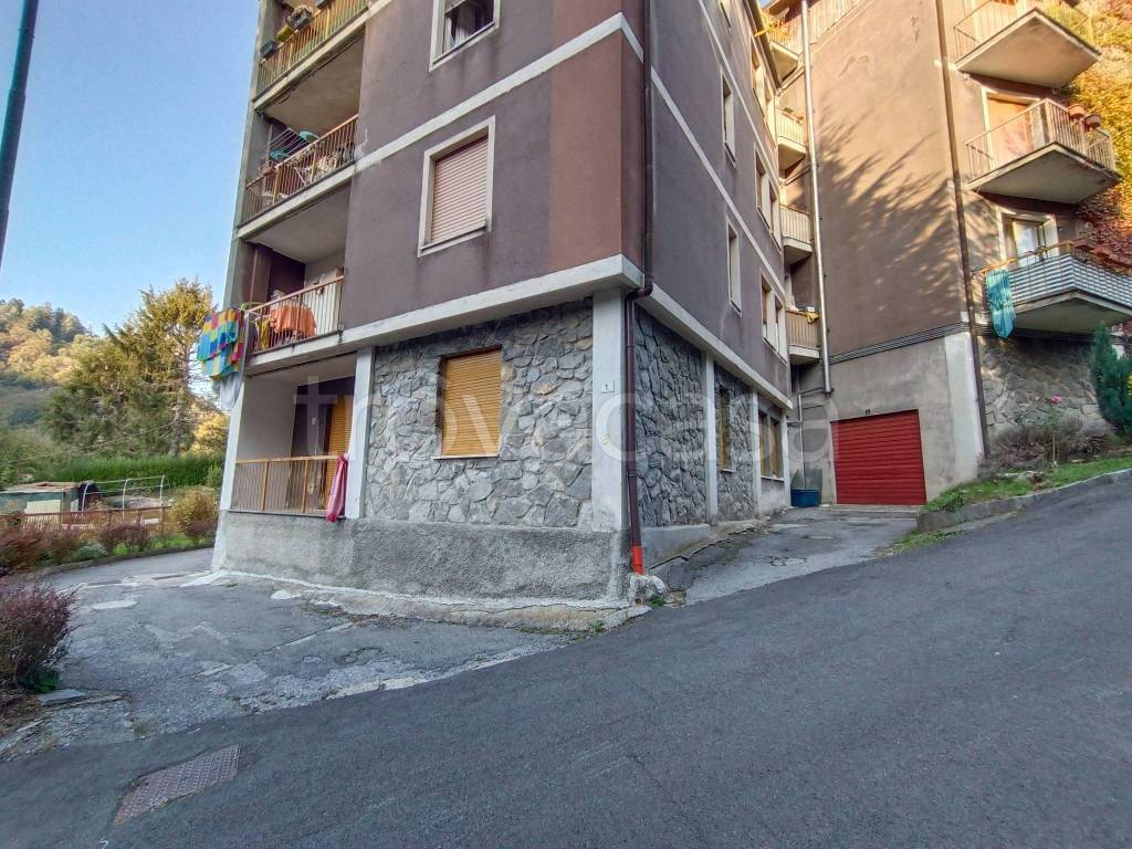immagine annuncio 10 di 14