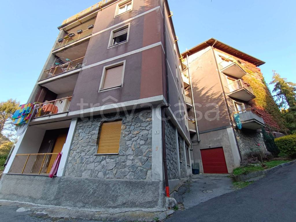 immagine annuncio 11 di 14