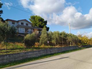 Villa in in vendita da privato a bolognetta contrada roccabianca