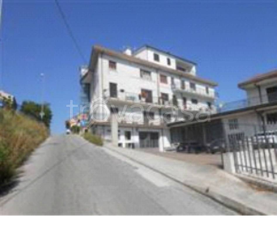 immagine annuncio 6 di 12