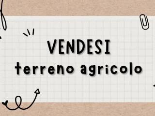 Terreno agricolo in vendita a santa venerina località ardichetto s.n.c.