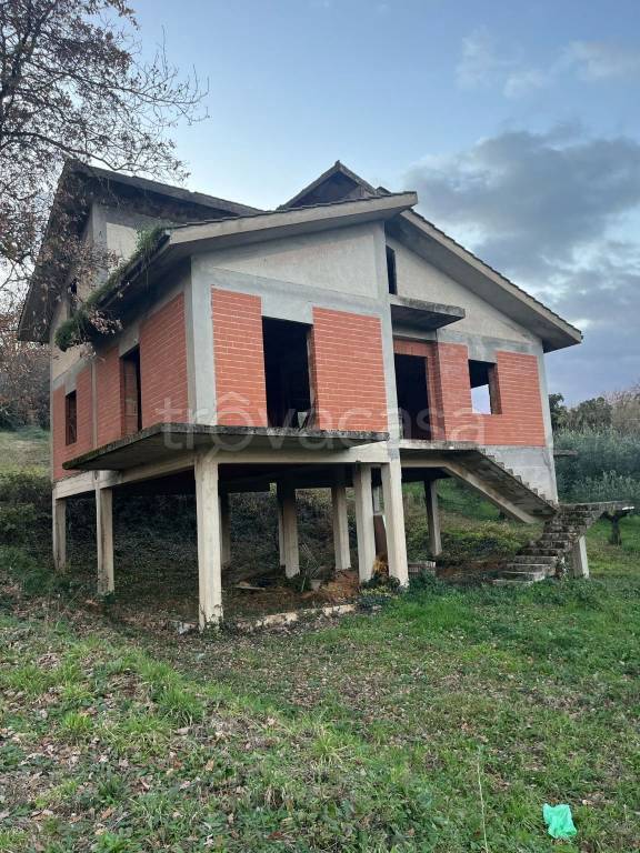 immagine annuncio 1 di 6