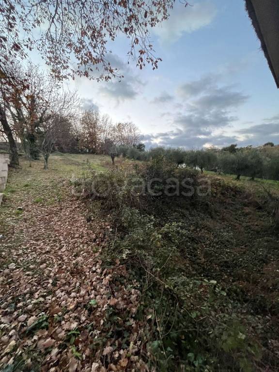 immagine annuncio 5 di 6
