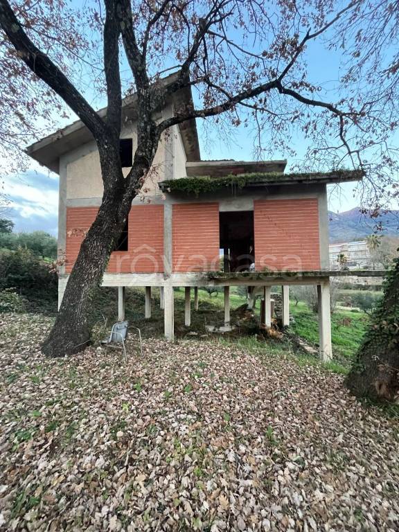 immagine annuncio 2 di 6