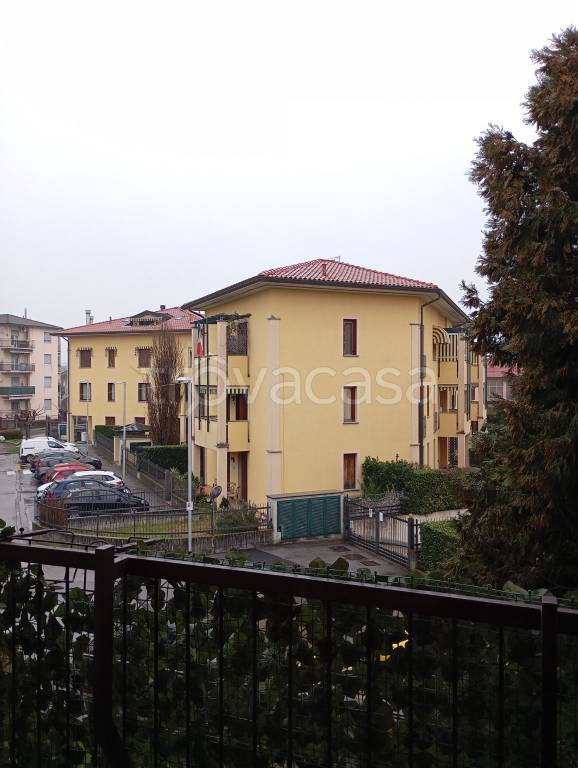 immagine annuncio 11 di 15