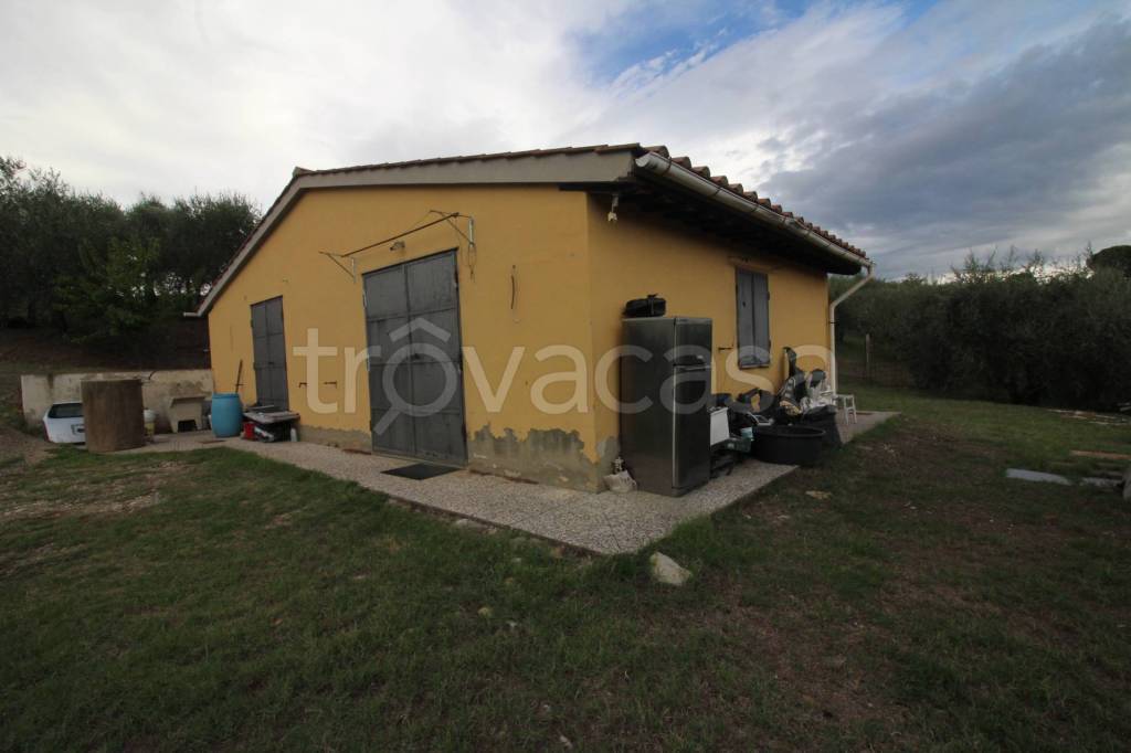 immagine annuncio 6 di 7