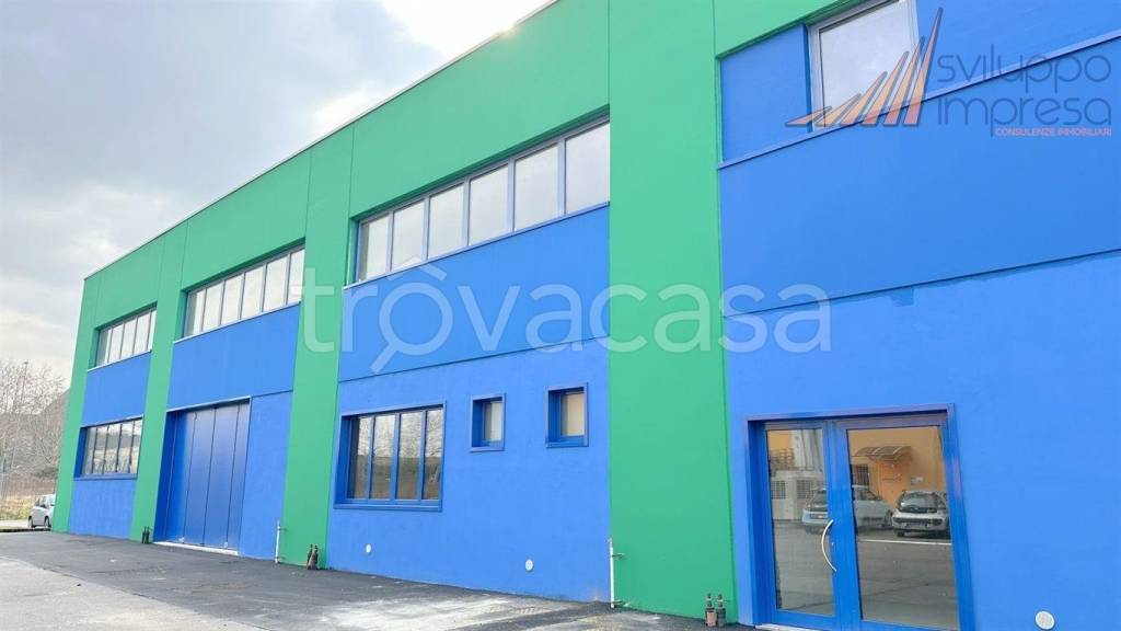 immagine annuncio 5 di 14