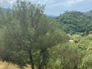 Terreno agricolo in vendita ad albisola superiore 