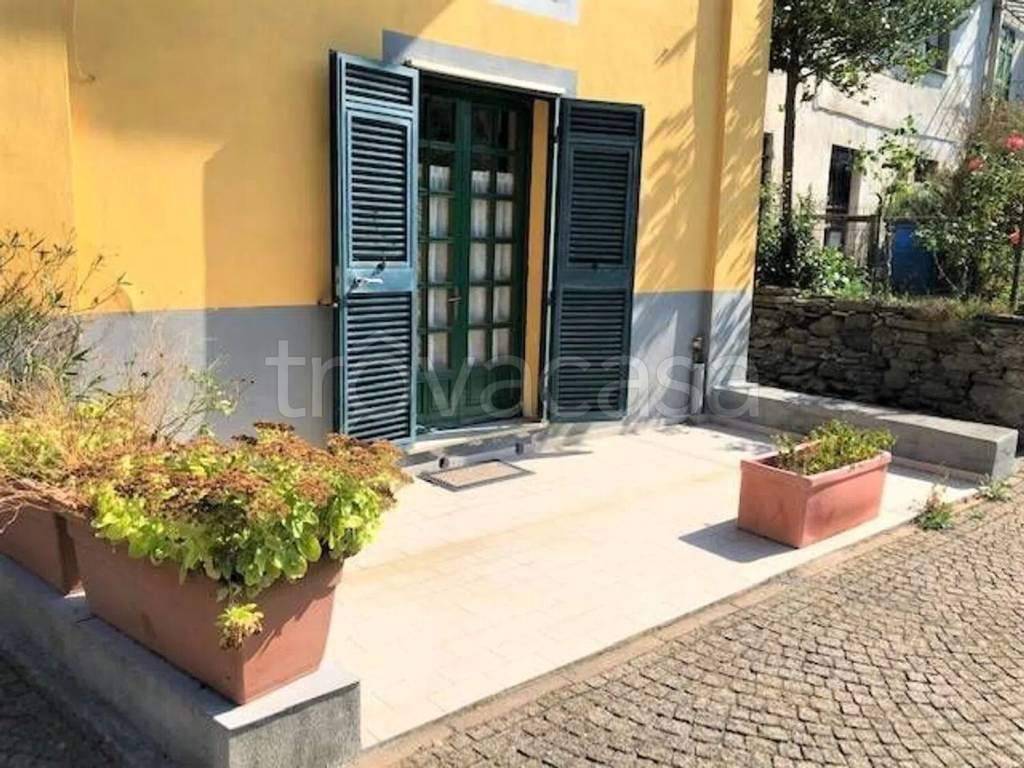 immagine annuncio 2 di 8