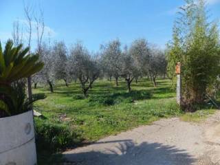 Terreno agricolo all'asta ad alatri via jugoslavia