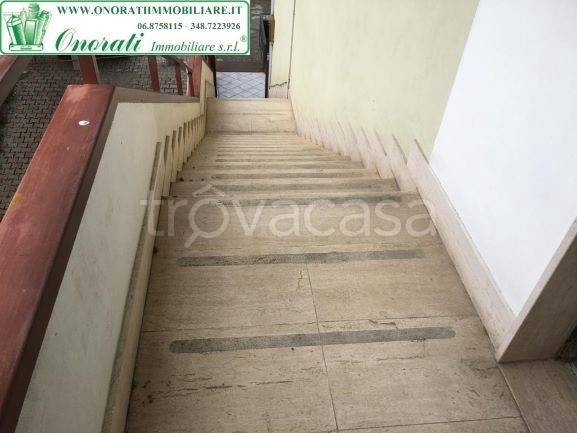 immagine annuncio 10 di 12