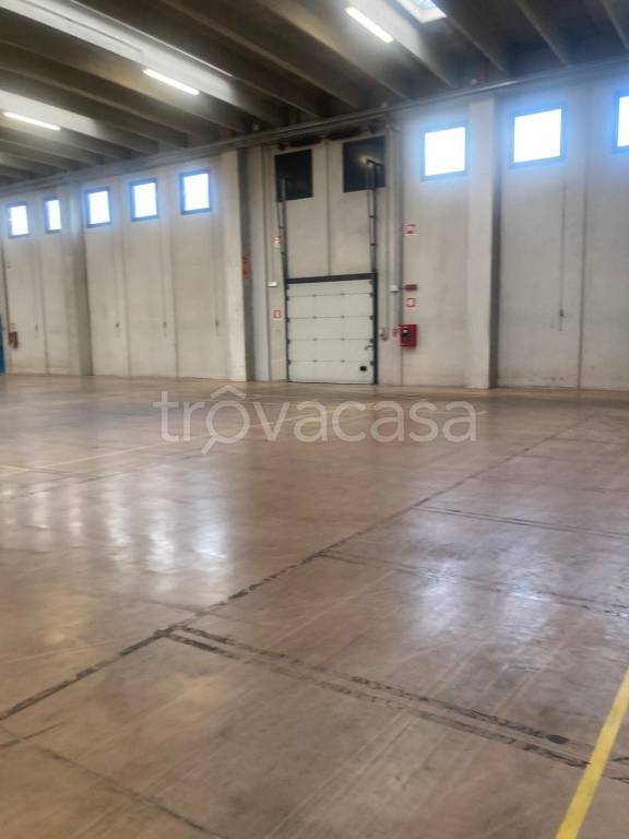 immagine annuncio 4 di 9