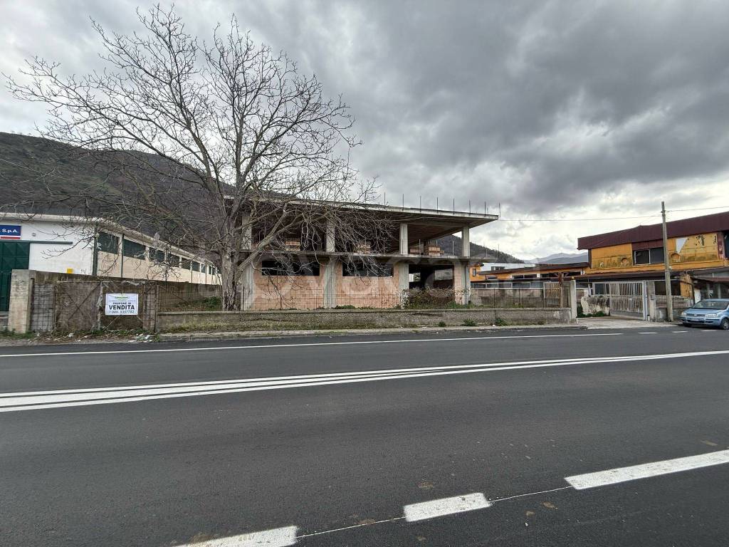 immagine annuncio 2 di 14