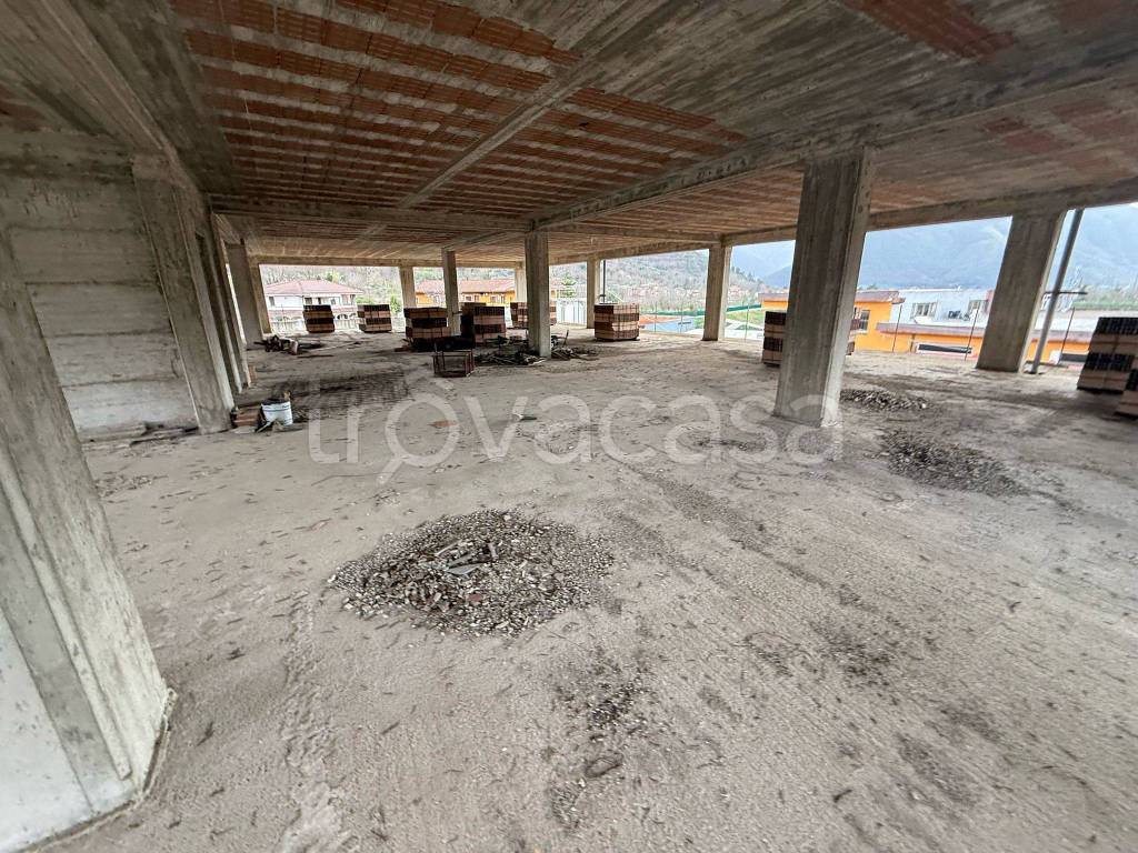 immagine annuncio 5 di 14