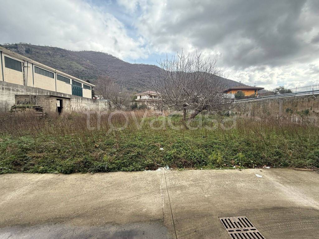 immagine annuncio 12 di 14