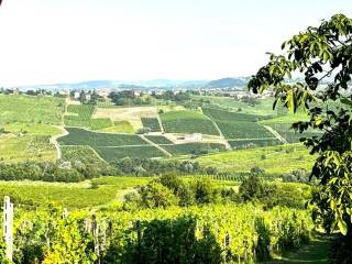 Terreno agricolo in vendita a montù beccaria frazione poggiolo, 67