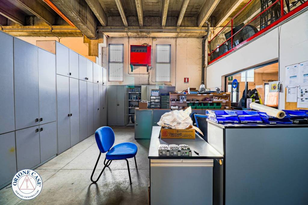 immagine annuncio 11 di 15