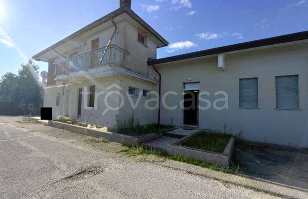 immagine annuncio 9 di 13