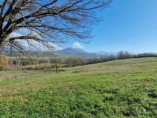 Terreno agricolo all'asta a sicignano degli alburni contrada pedicara