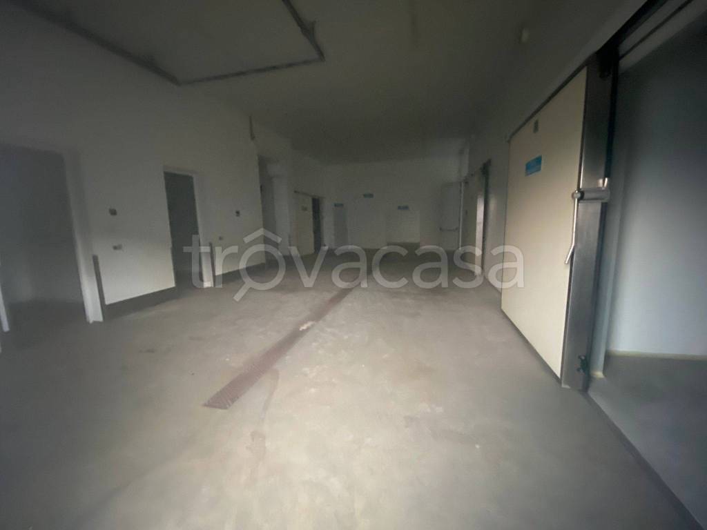 immagine annuncio 5 di 8