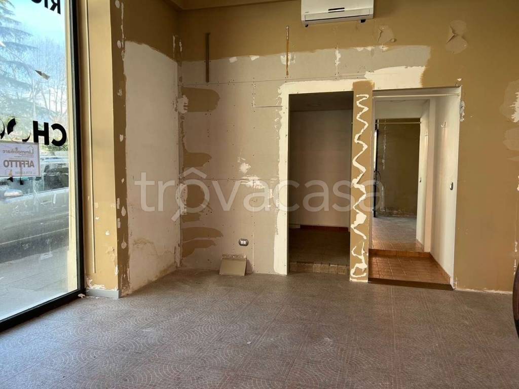 immagine annuncio 3 di 6