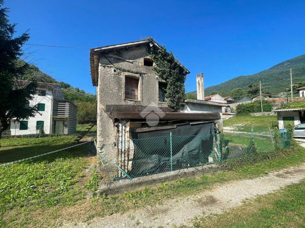 immagine annuncio 5 di 14