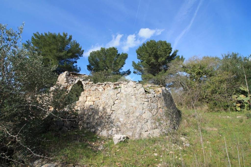 immagine annuncio 9 di 12