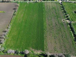 Terreno agricolo in vendita a siracusa traversa pozzo di mazza