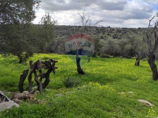 Terreno agricolo in vendita a siracusa contrada cugni di cassaro