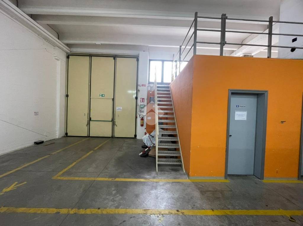immagine annuncio 5 di 9