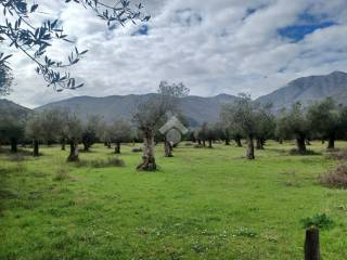 Terreno agricolo in vendita a venafro strada di bonifica