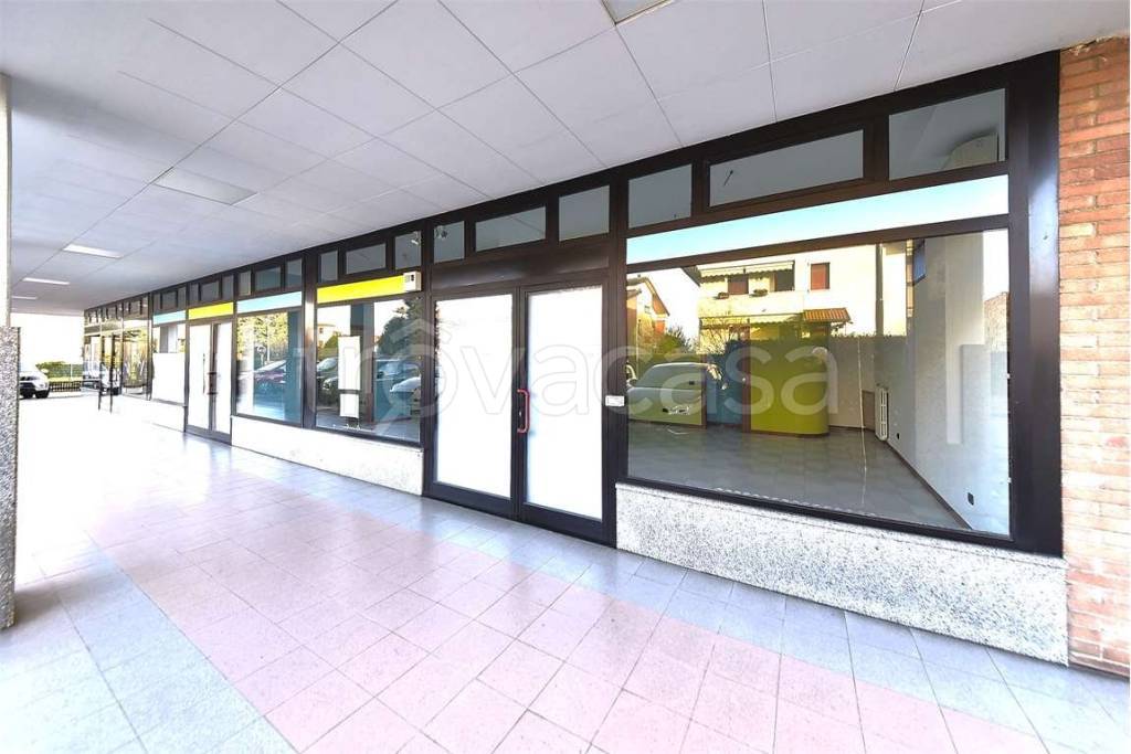 immagine annuncio 9 di 12