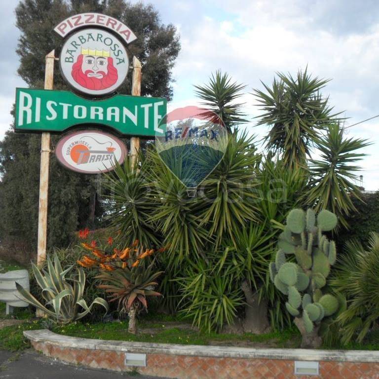 immagine annuncio 5 di 6