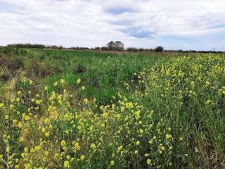 Terreno agricolo all'asta a sezze via migliara 47