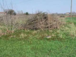 Terreno agricolo all'asta a sorgà via della giara