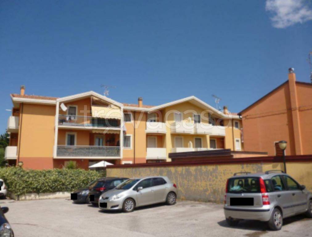 immagine annuncio 1 di 12