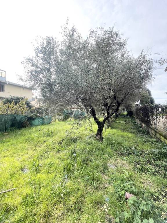 immagine annuncio 9 di 11