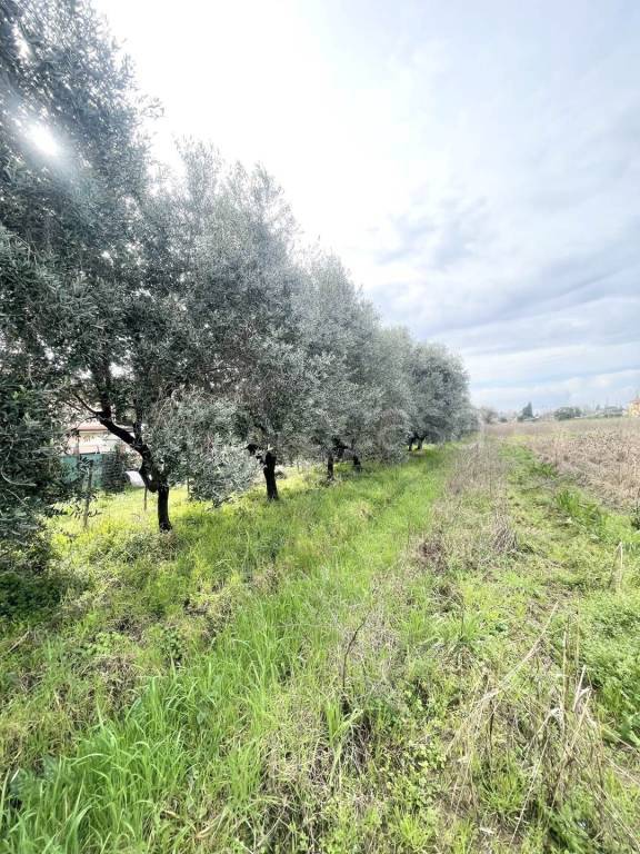 immagine annuncio 10 di 11
