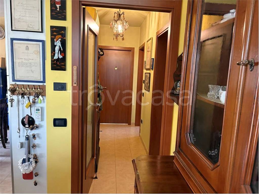 immagine annuncio 5 di 12