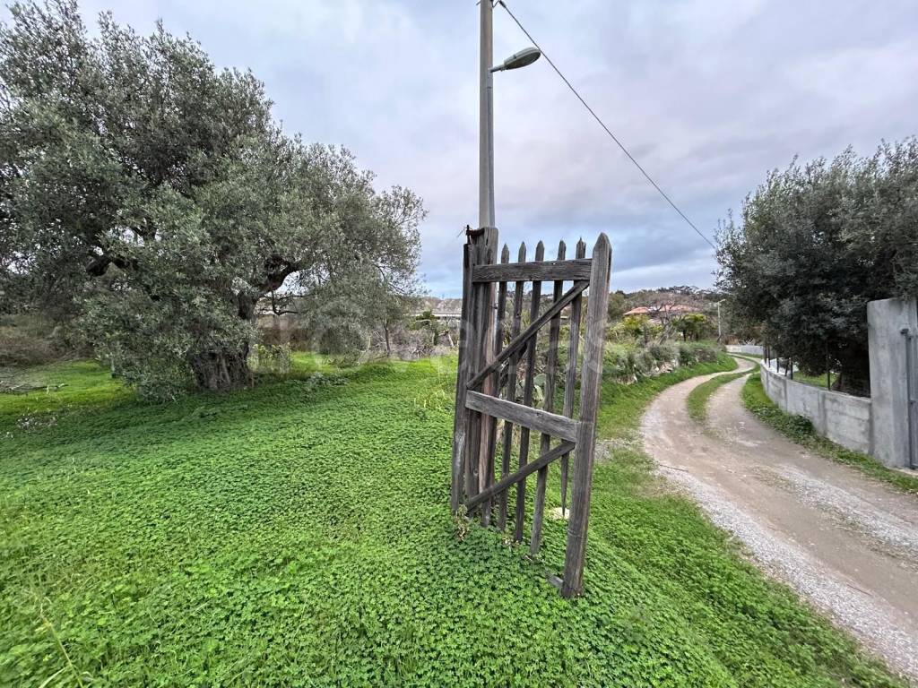 immagine annuncio 2 di 7