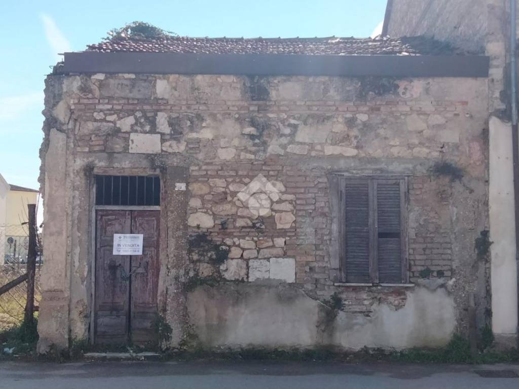 immagine annuncio 2 di 4