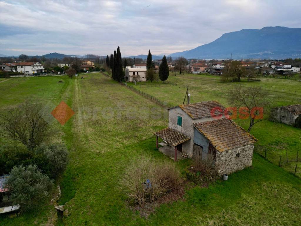immagine annuncio 3 di 13