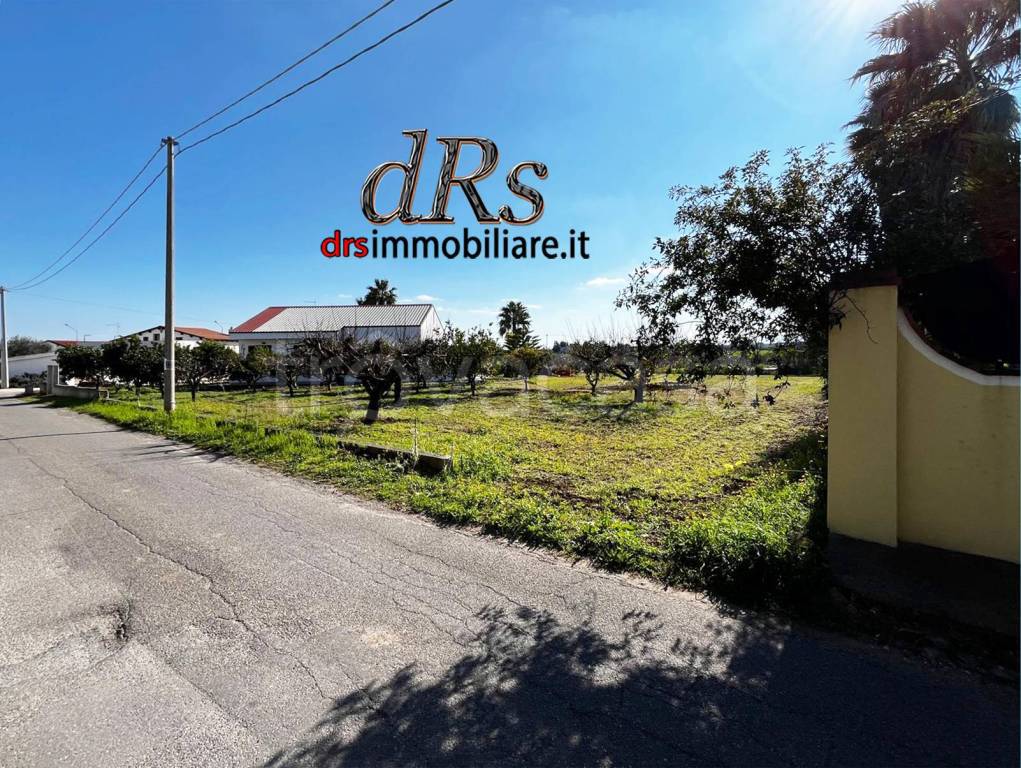 immagine annuncio 7 di 14