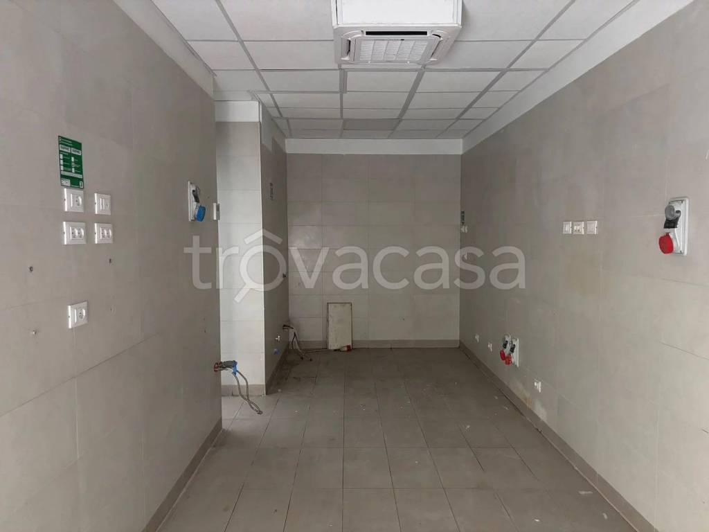 immagine annuncio 9 di 14
