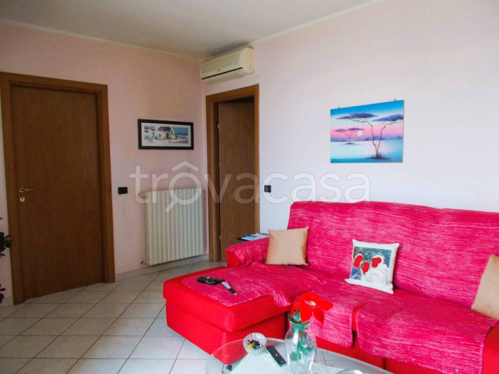 immagine annuncio 1 di 12
