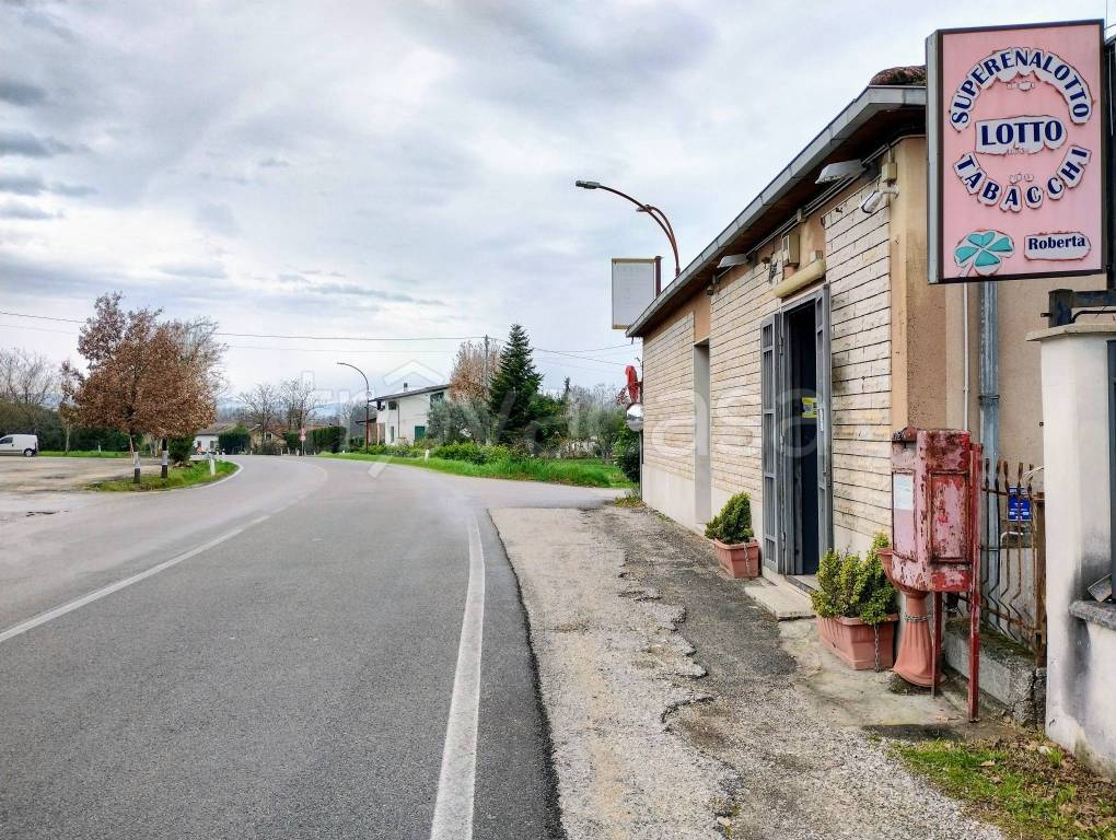 immagine annuncio 5 di 6