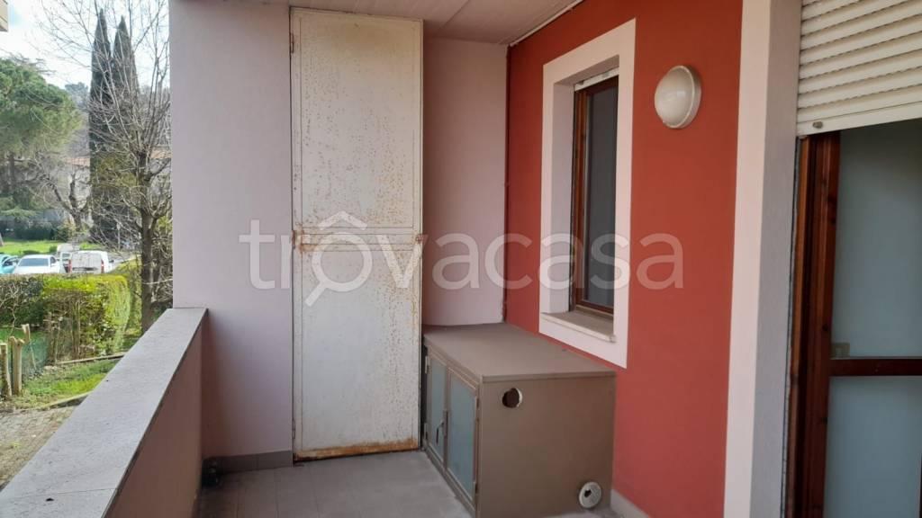 immagine annuncio 12 di 14