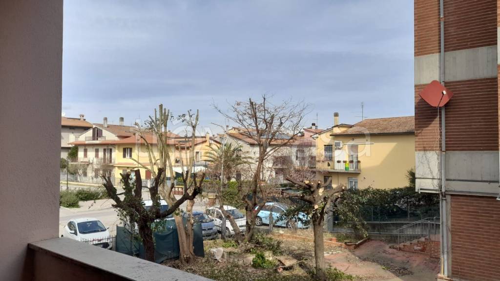 immagine annuncio 13 di 14