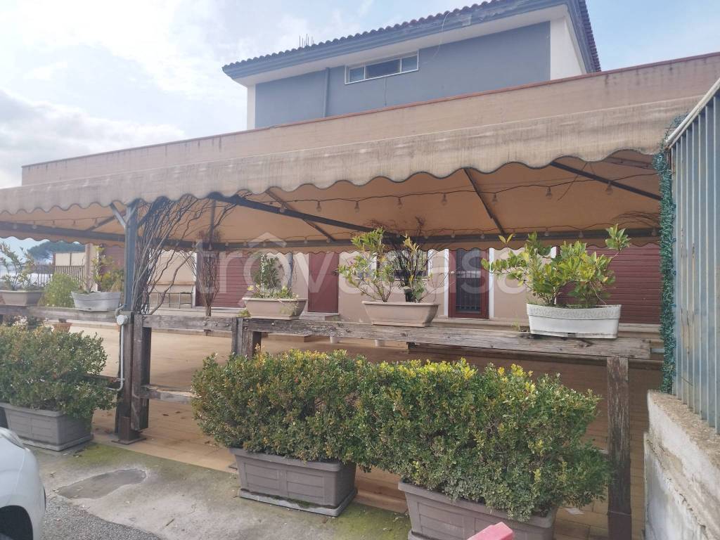 immagine annuncio 1 di 6